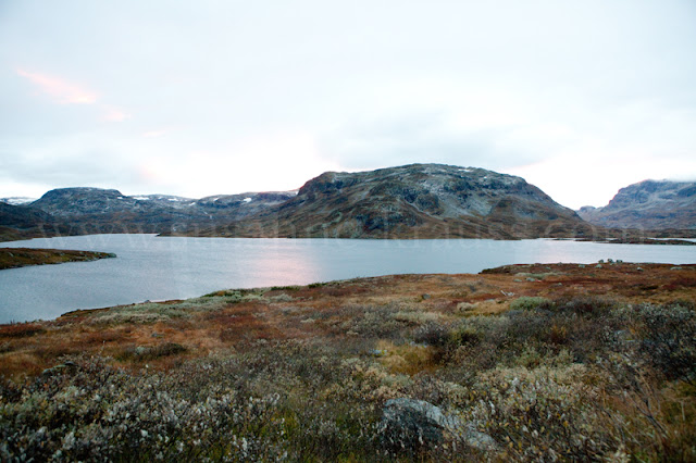 Einer von unzähligen Seen in der Hardangervidda, Norwegen.Foto ©Susanne Krauss, München - www.susanne-krauss.com