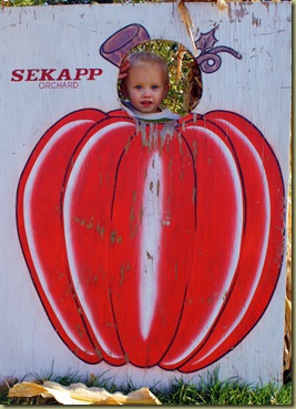 pumpkin15
