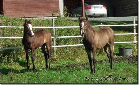 hoppene-22sept-09_04