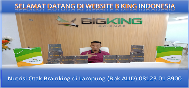  PROMOSI, 08123 01 8900 (Bpk. Alid), Nutrisi Otak Brainking di Lampung