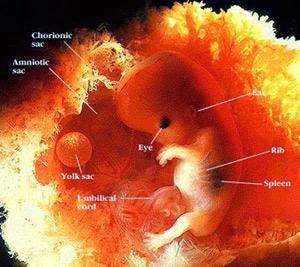  Non-Invasive Prenatal Testing (NIPT) Market