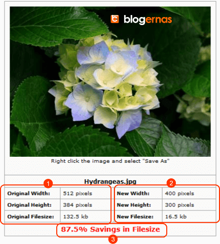 Cara Kompres Gambar di Situs JPEG Optimizer