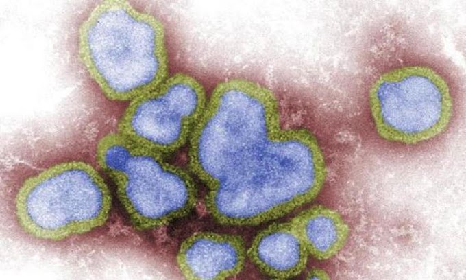 China relata mais 3 casos humanos de gripe aviária H5N6