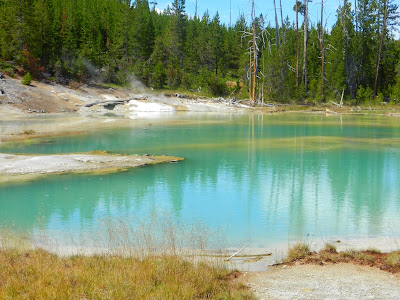 Back Basin  Yellowstone Wyoming 