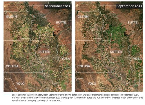 Satellite Image Reveals 'Agriculture Wasteland' Across California's Rice Capital