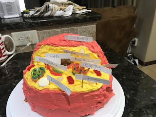 How to Make an Edible Animal Cell Cake