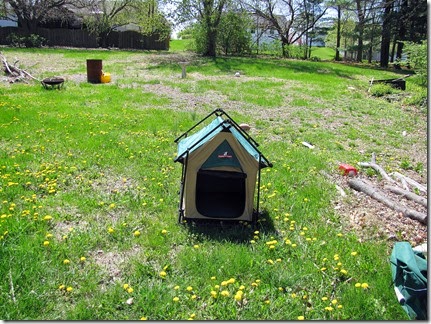 Doggietent04-22-14a