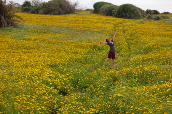 Beauty in beauty Life never knew such yellow What a wonderful moment