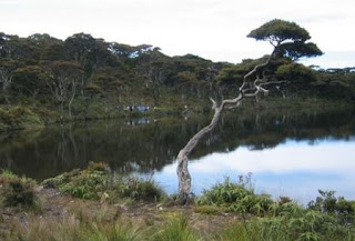 Talago Dewi (Lake Dewi) at Singgalang Mountain - Indonesia