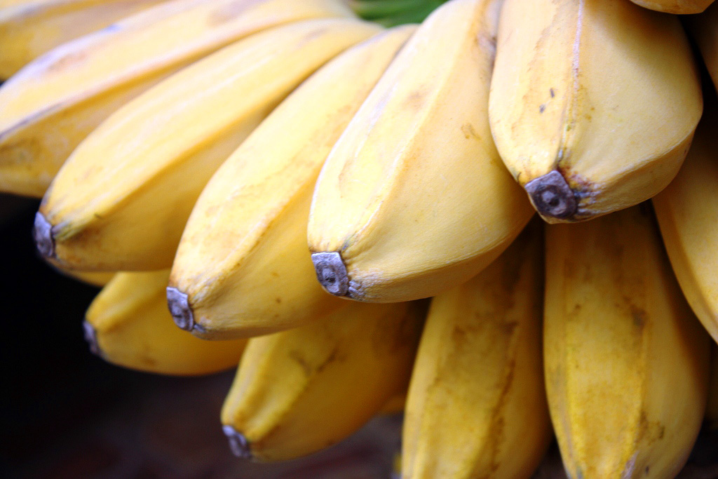 PRIA DAN WANITA DOYAN MAKAN PISANG Tips Petani