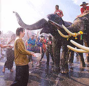 Songkran Festival Elephant