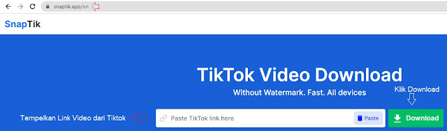 Cara Download Video TikTok Tanpa Watermark Lewat Snaptik.app/en