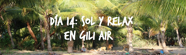 Día 14: Gili Air