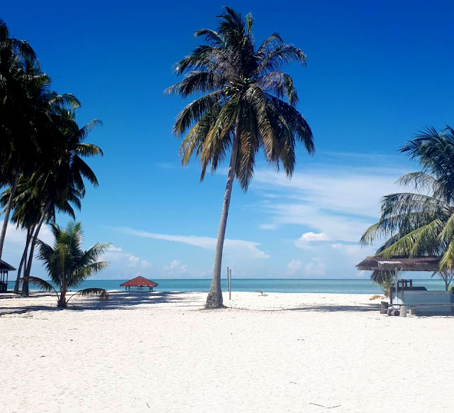 Keindahan Pantai Pulau Derawan