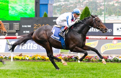 http://sportingphotos.com.au