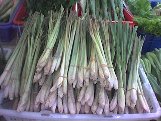 SERAI  ( CYMBOPOGON  NARDUS )