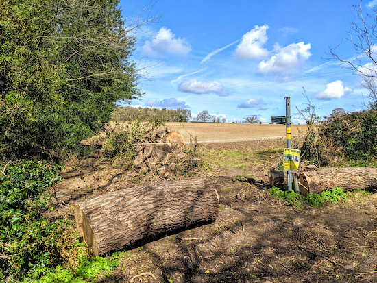 Turn left on King's Walden footpath 24 then head NW