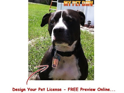 Pet Drivers License ID Tags