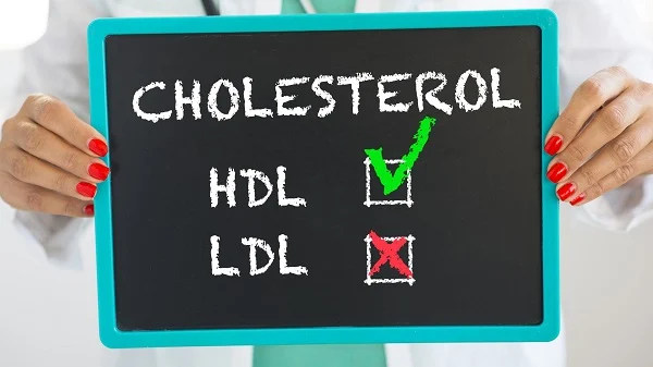 jenis kolesterol dalam tubuh