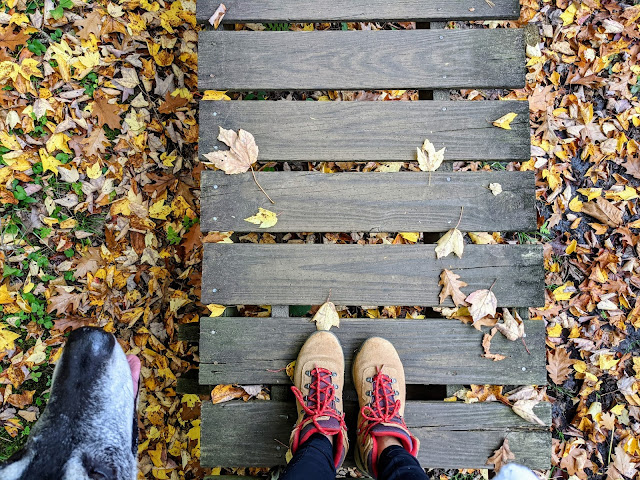 White Memorial Conservation Center Boardwalk