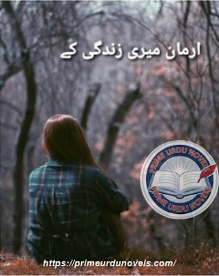 Arman meri zindagi ke novel pdf by Bint e Hawa Complete