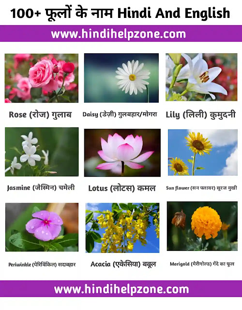 100+ flowers name hindi and english - फूलों के नाम