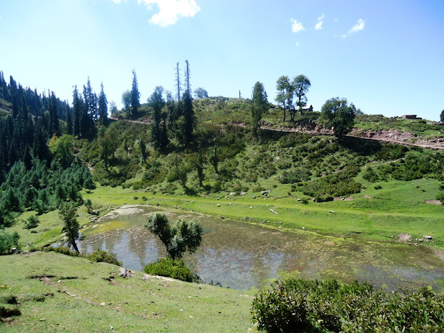 Siri Paye, Shogran