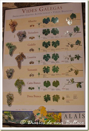 RibeiraSacra-43