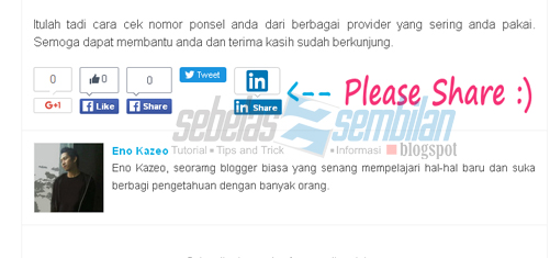 Cara Menampilkan Profil Penulis Blog di Bawah Postingan 