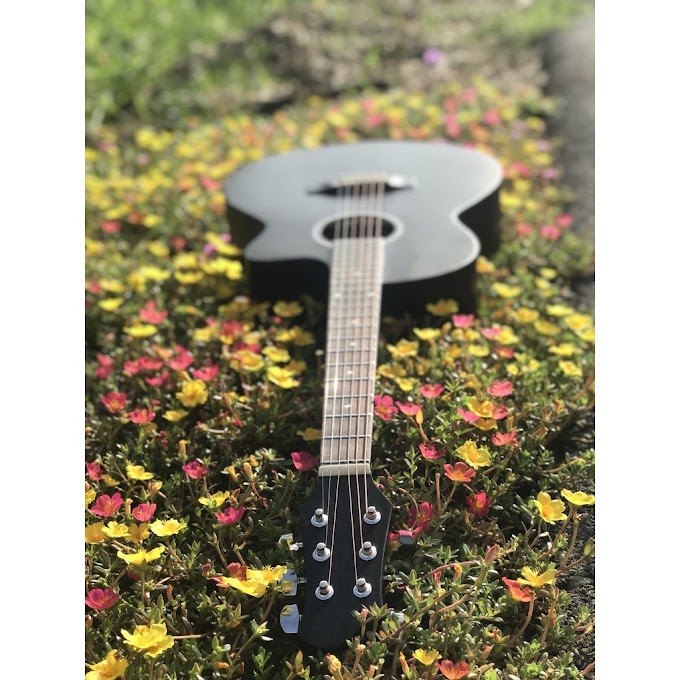 Đàn guitar acoustic STD650 (màu đen) có ty chỉnh cần