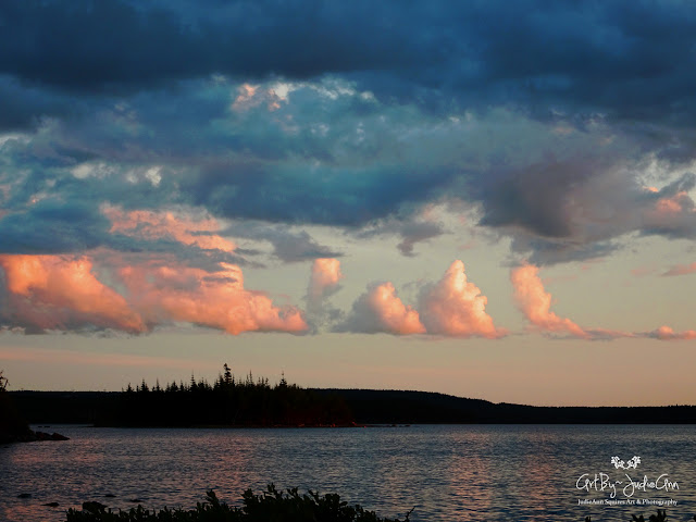 Pink puffy clouds