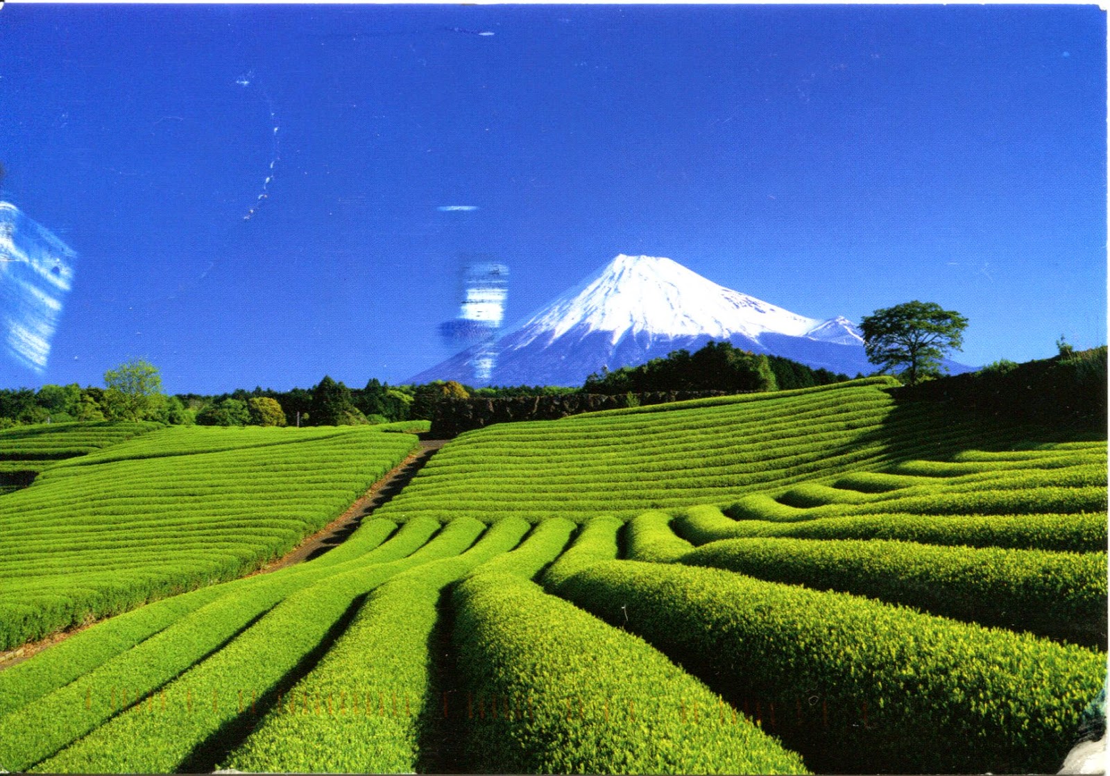 Keindahan Gunung Fuji, Objek Wisata Jepang