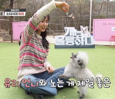 SNSD Yuri dogs are incredible