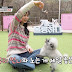 SNSD Yuri on 'Dogs are Incredible' (English Subbed)