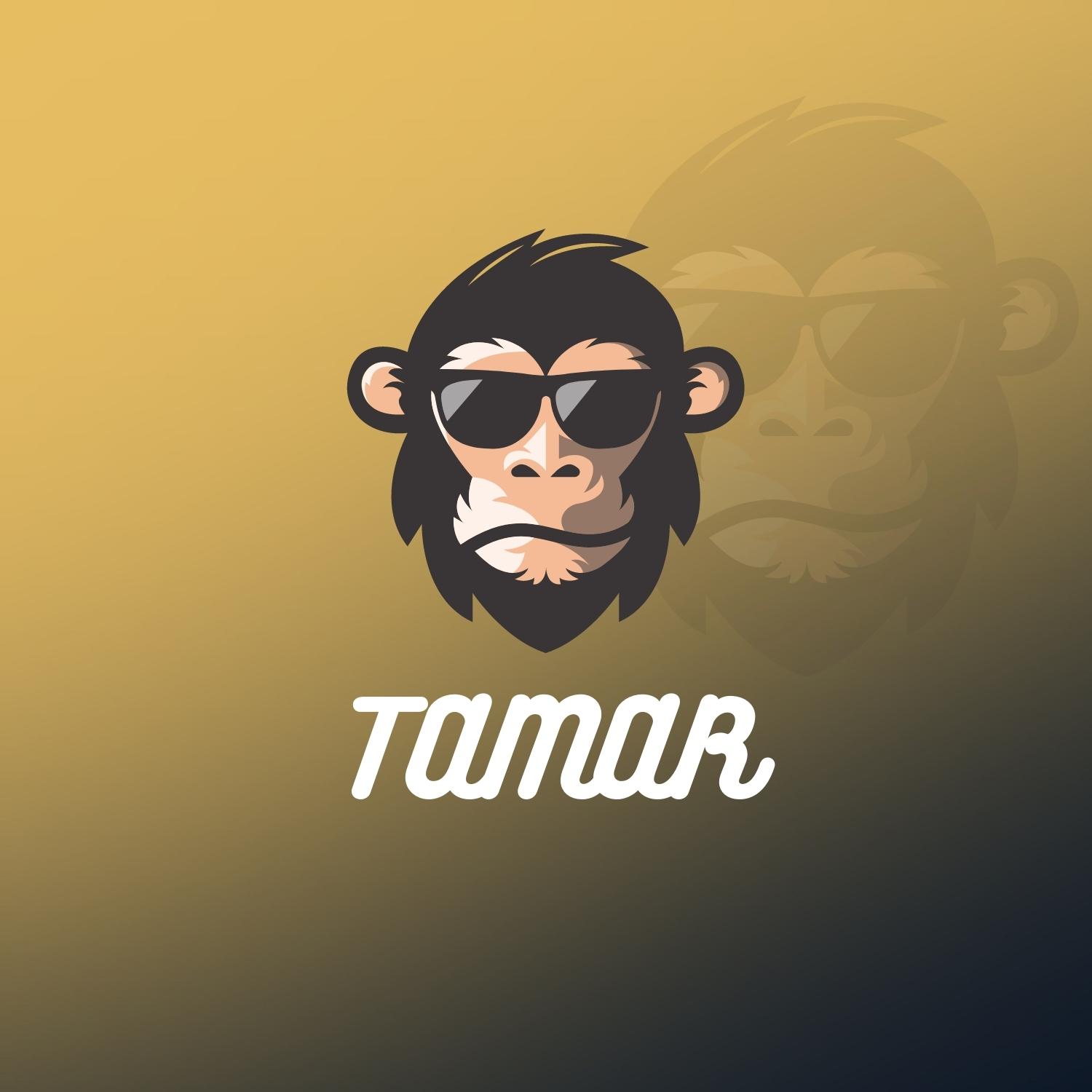 Smart Monkey Gaming Logo