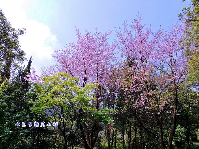 9 大屯自然公園