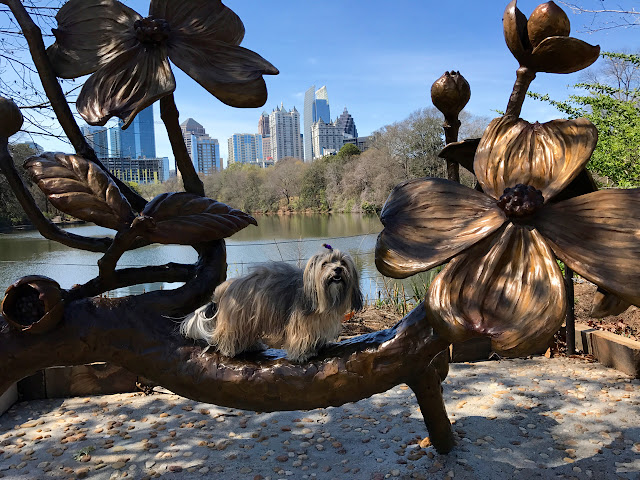 Dogwood sculpture Piedmont Park Rocco Havanese