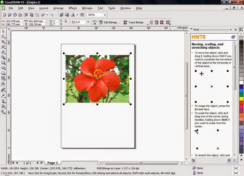 Corel Draw x3 Graphics Suite 13 With Serial Key Free