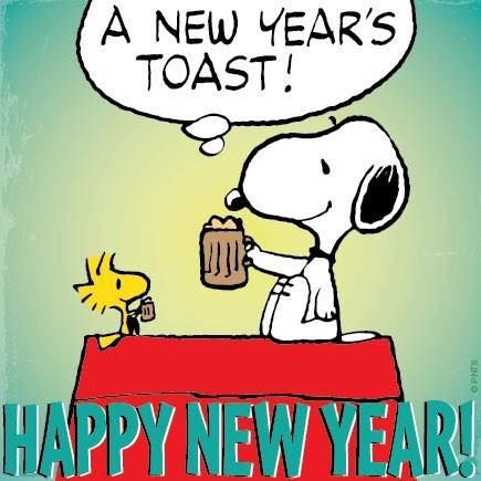 23 Happy New Year Funny Memes and Pictures for FUN