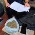  Detuvieron a un sujeto con marihuana apta para más de 350 dosis umbrales 