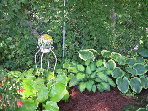 Mason County Garden Tour hosta