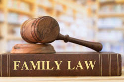 Navigating Alternatives to Evaluating Family Lawyers