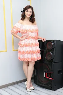 Actress Mehreen Pirzada stills at Aswathama Movie Interview