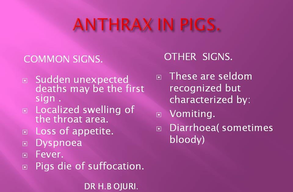 ANTHRAX IN PIGS.