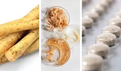 Sea Moss With Bladderwrack And Burdock Root Benefits