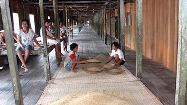 Rumah Betang Dayak Kalimantan Barat