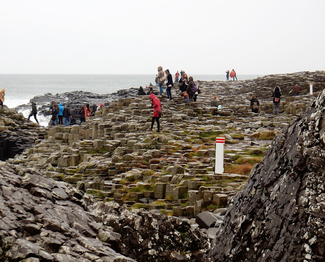 Carrick-a-rede rope bridge, Chausée des Géants, Irlande, Giant´s Causeway, Elisa N, blog de voyages