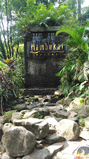 Mambukal 