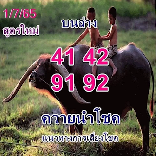 ควายนำโชค สูตรใหม่ งวด 1 กรกฎาคม 2565 OHO999.com