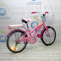 20 Inch Wimcycle Cupid